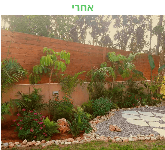 עיצוב גינה - אחרי